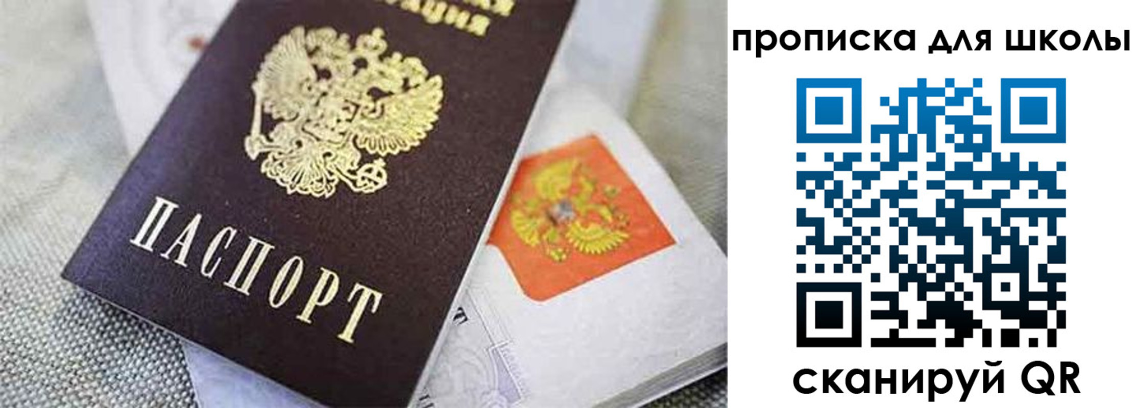 прописка штамп в Павловске