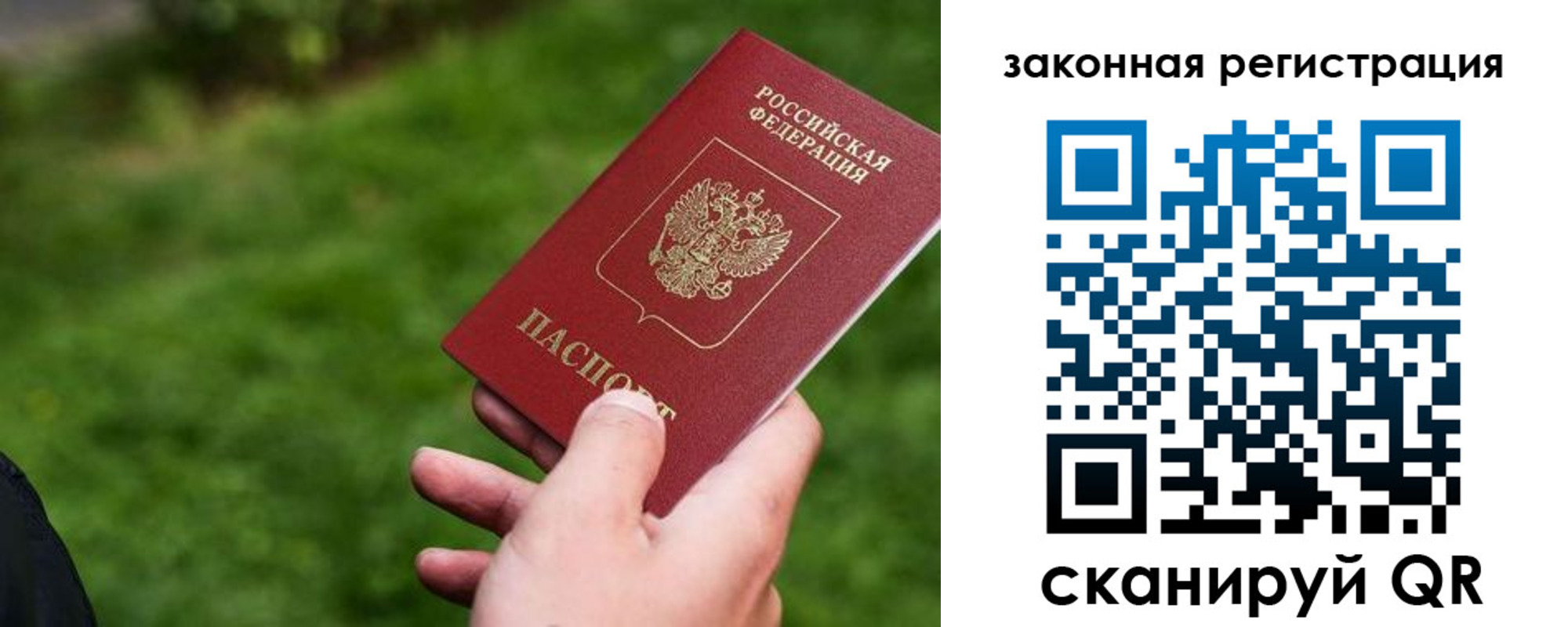 прописка законно в Павловске